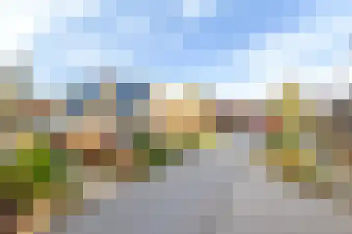 De Skuorrereed 7 Mantgum thumbnail 7