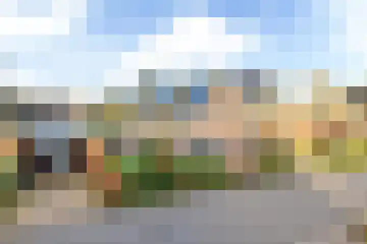 De Skuorrereed 7 Mantgum thumbnail 8