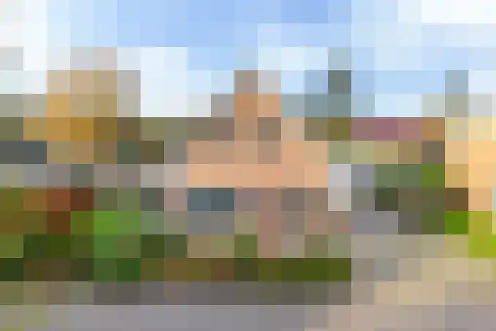 De Skuorrereed 7 Mantgum thumbnail 9
