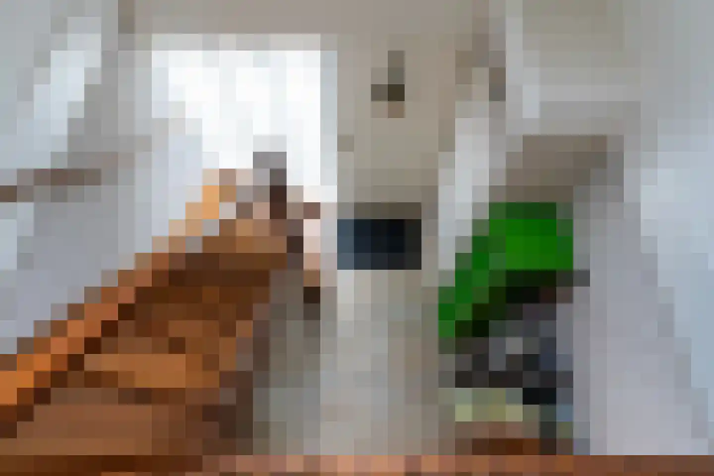 De Skûte 3 IJlst thumbnail 18