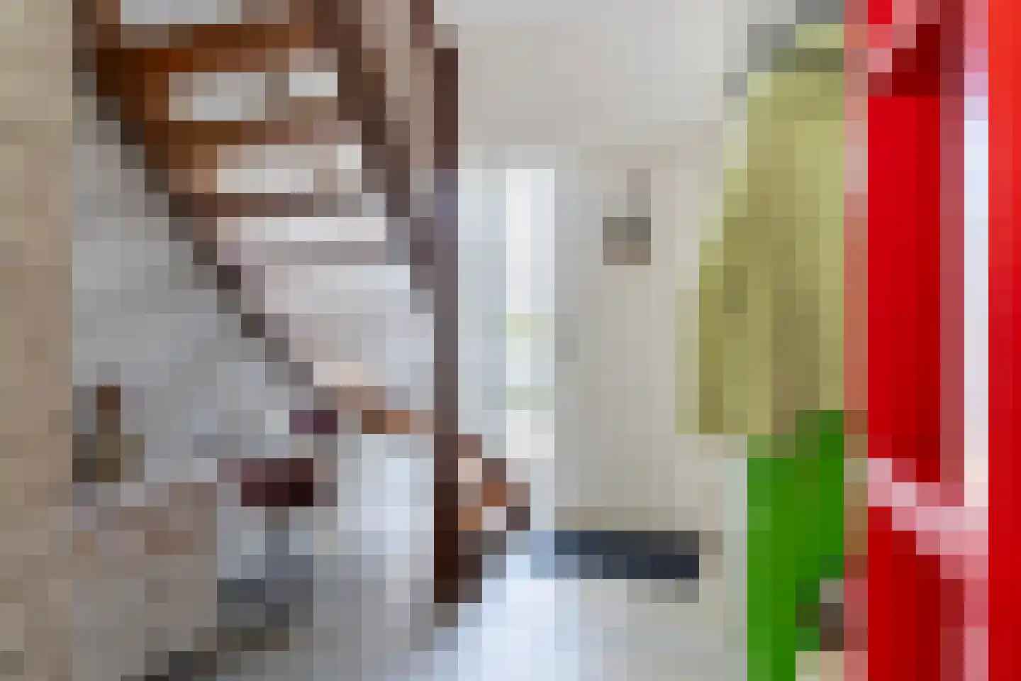 De Skûte 3 IJlst thumbnail 5