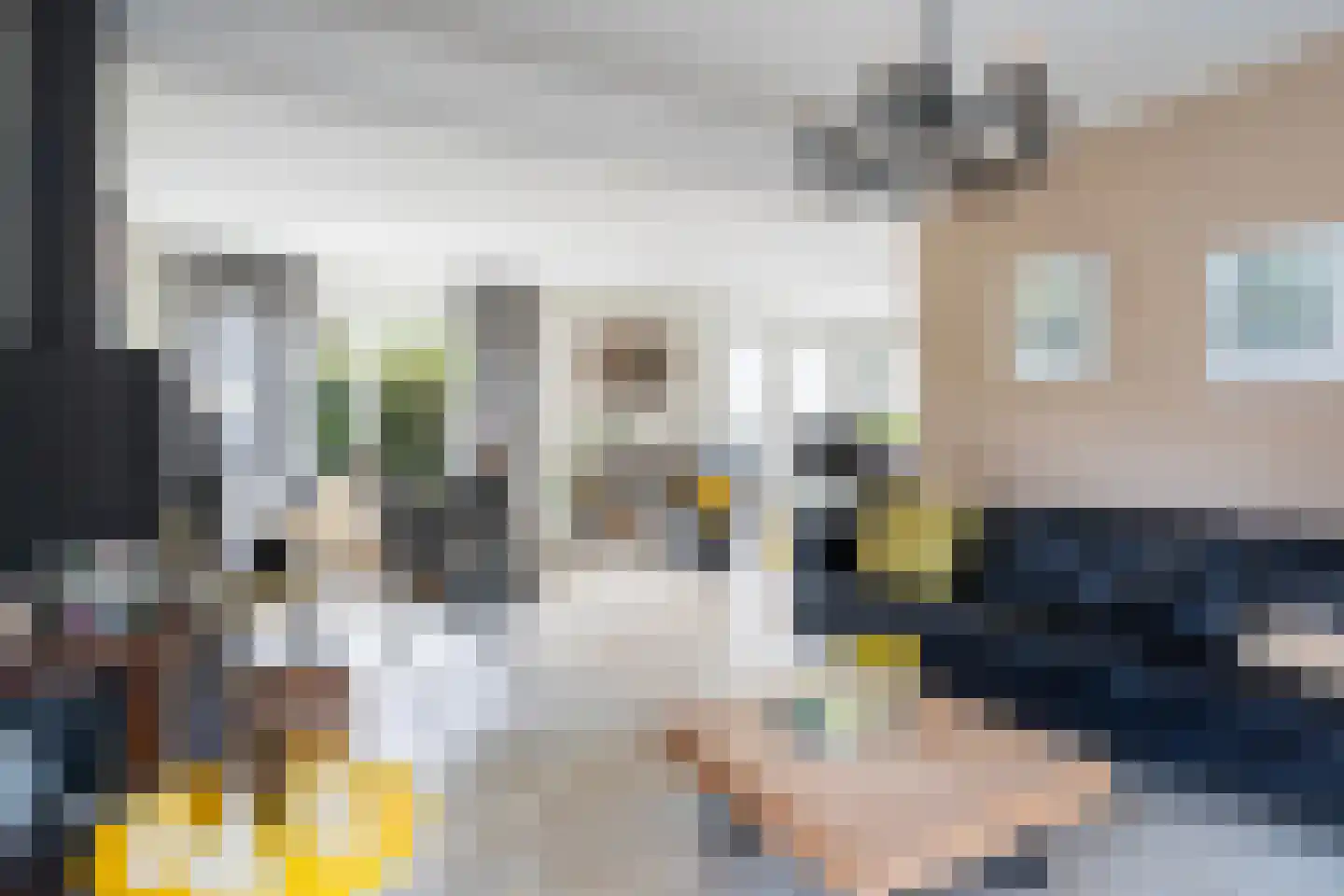 De Skûte 3 IJlst thumbnail 8