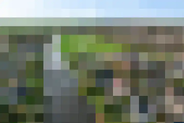 De Skûte 4 IJlst foto 2