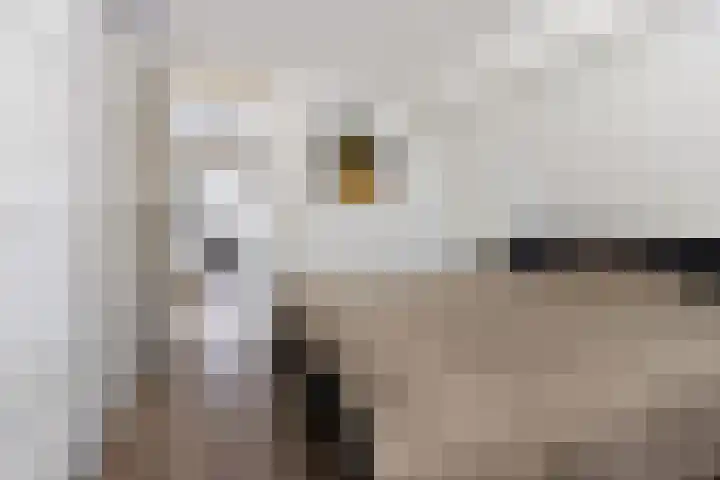 De Skûte 4 IJlst thumbnail 20