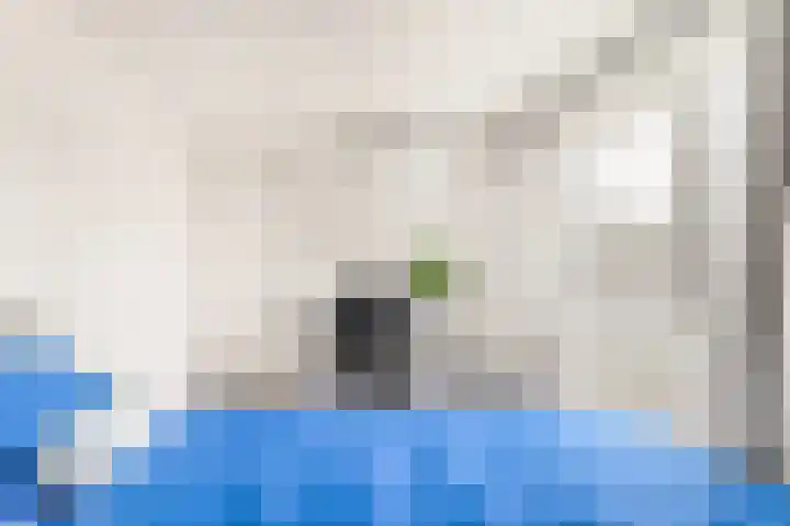 De Skûte 4 IJlst thumbnail 26