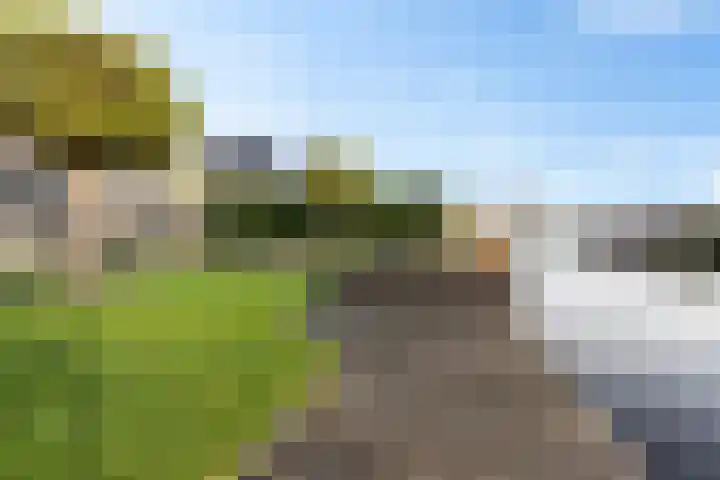 De Skûte 4 IJlst thumbnail 32
