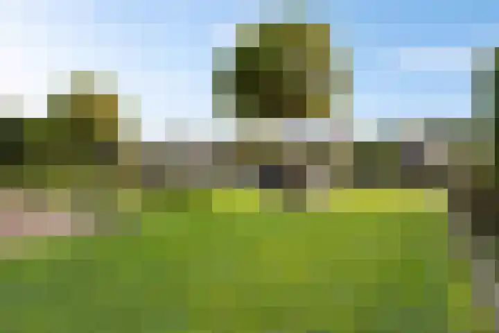 De Skûte 4 IJlst thumbnail 34