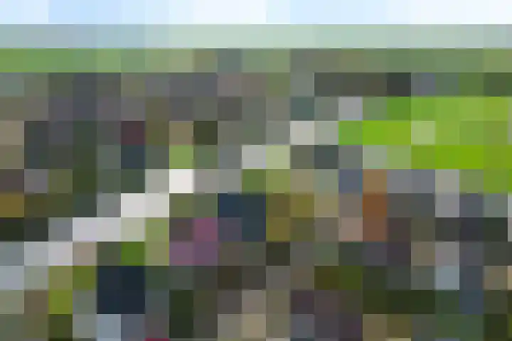 De Skûte 4 IJlst thumbnail 39