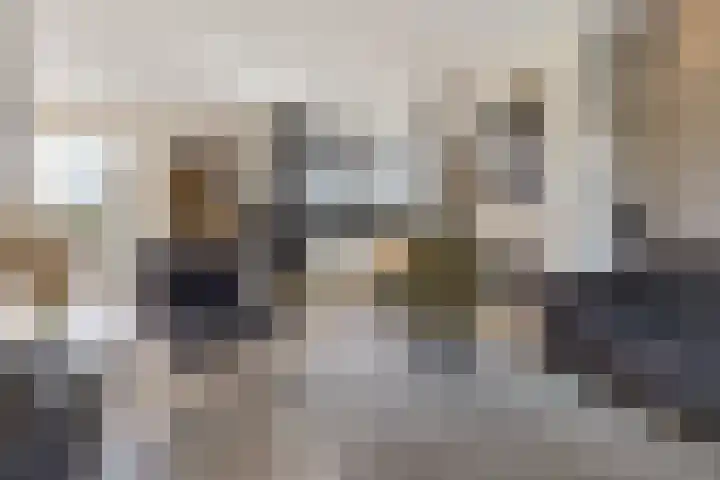 De Skûte 4 IJlst thumbnail 4