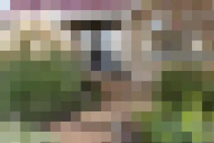 De Skûte 4 IJlst thumbnail 43