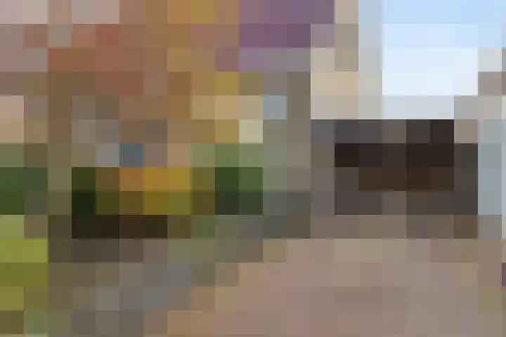 De Skûte 4 IJlst thumbnail 44