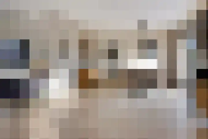 De Skûte 4 IJlst thumbnail 8