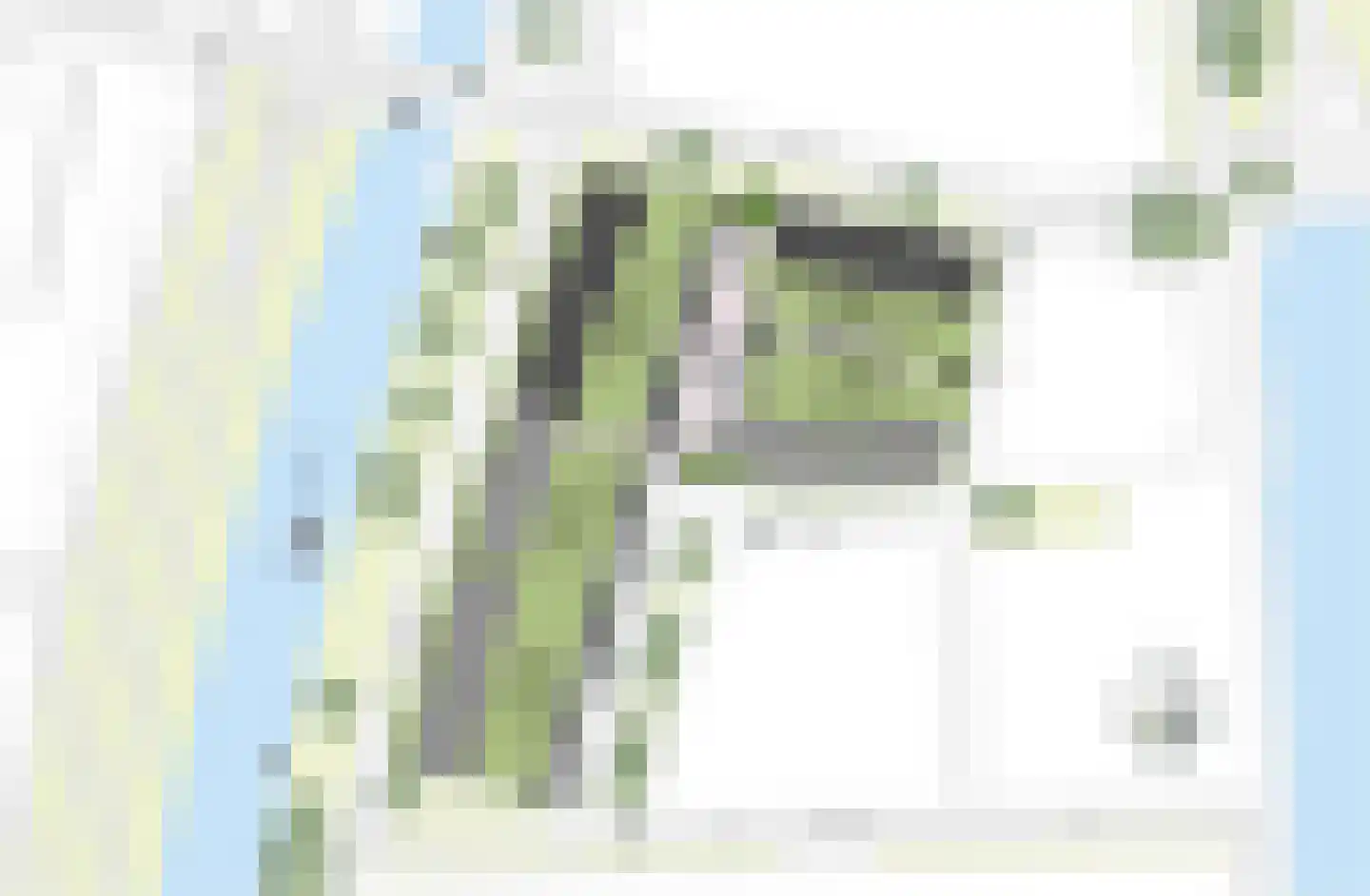 De Slachte 21 Leeuwarden thumbnail 11