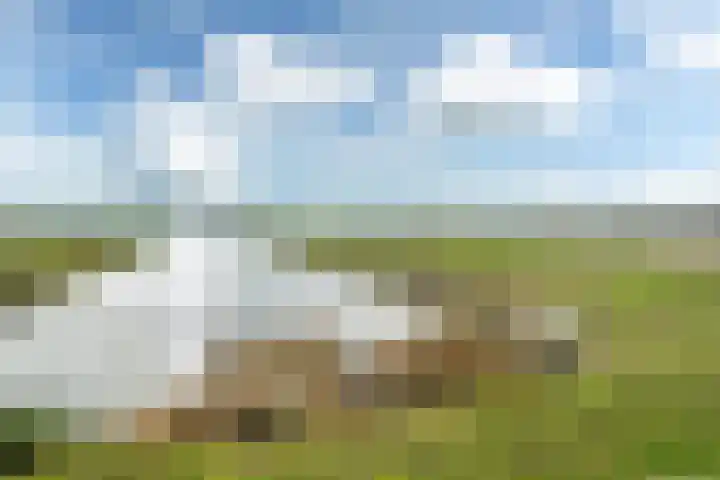 De Slachte 3 Leeuwarden thumbnail 32