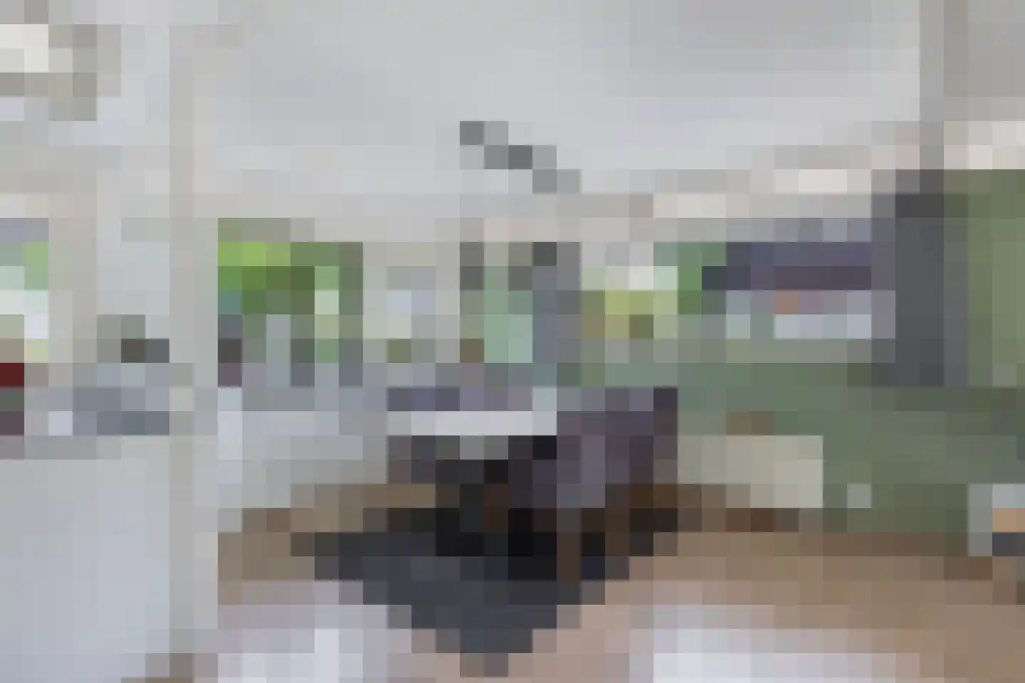 De Slachten 8 Bolsward thumbnail 12