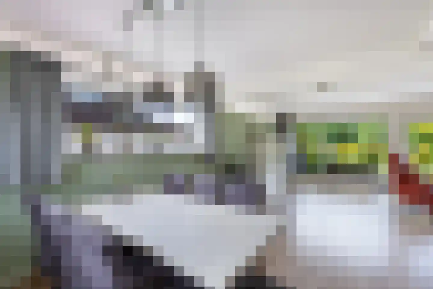 De Slachten 8 Bolsward thumbnail 13