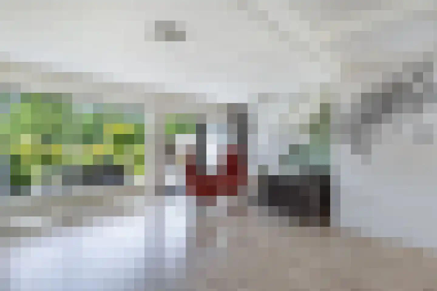 De Slachten 8 Bolsward thumbnail 15
