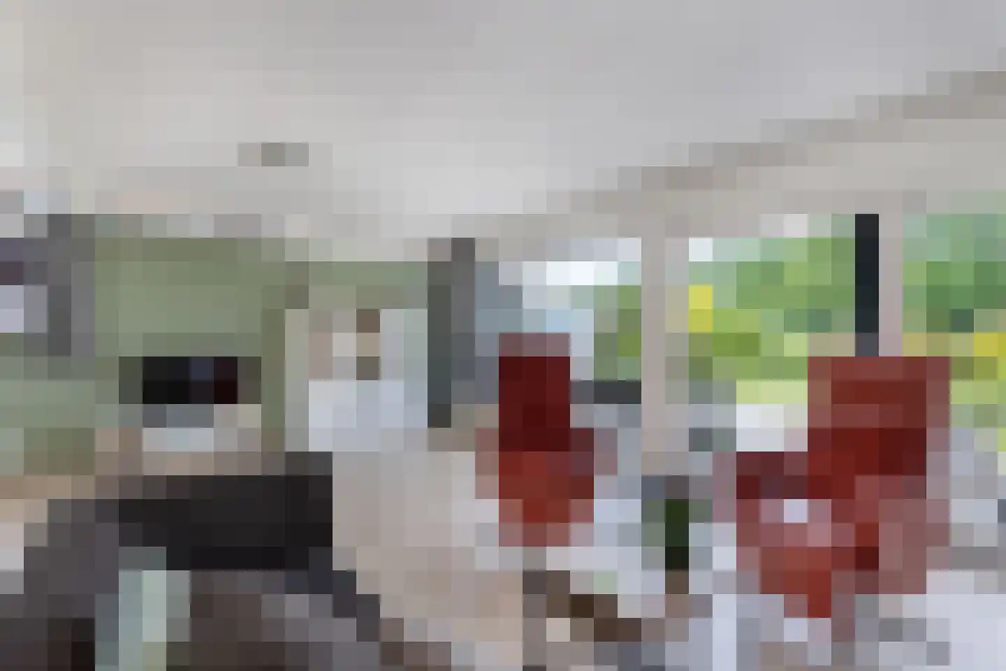 De Slachten 8 Bolsward thumbnail 17