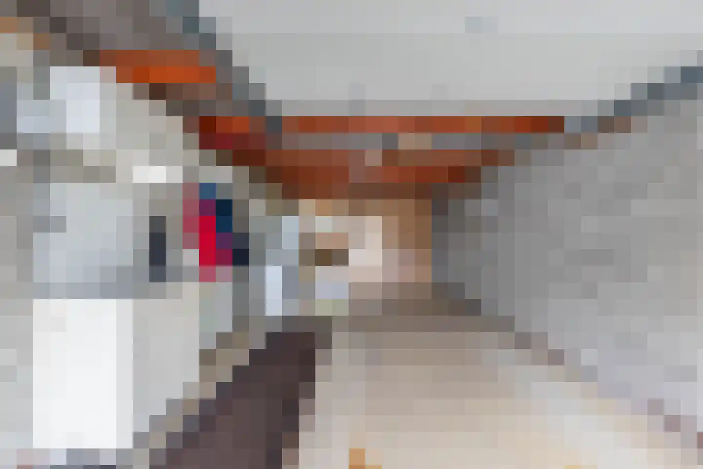 De Slachten 8 Bolsward thumbnail 37