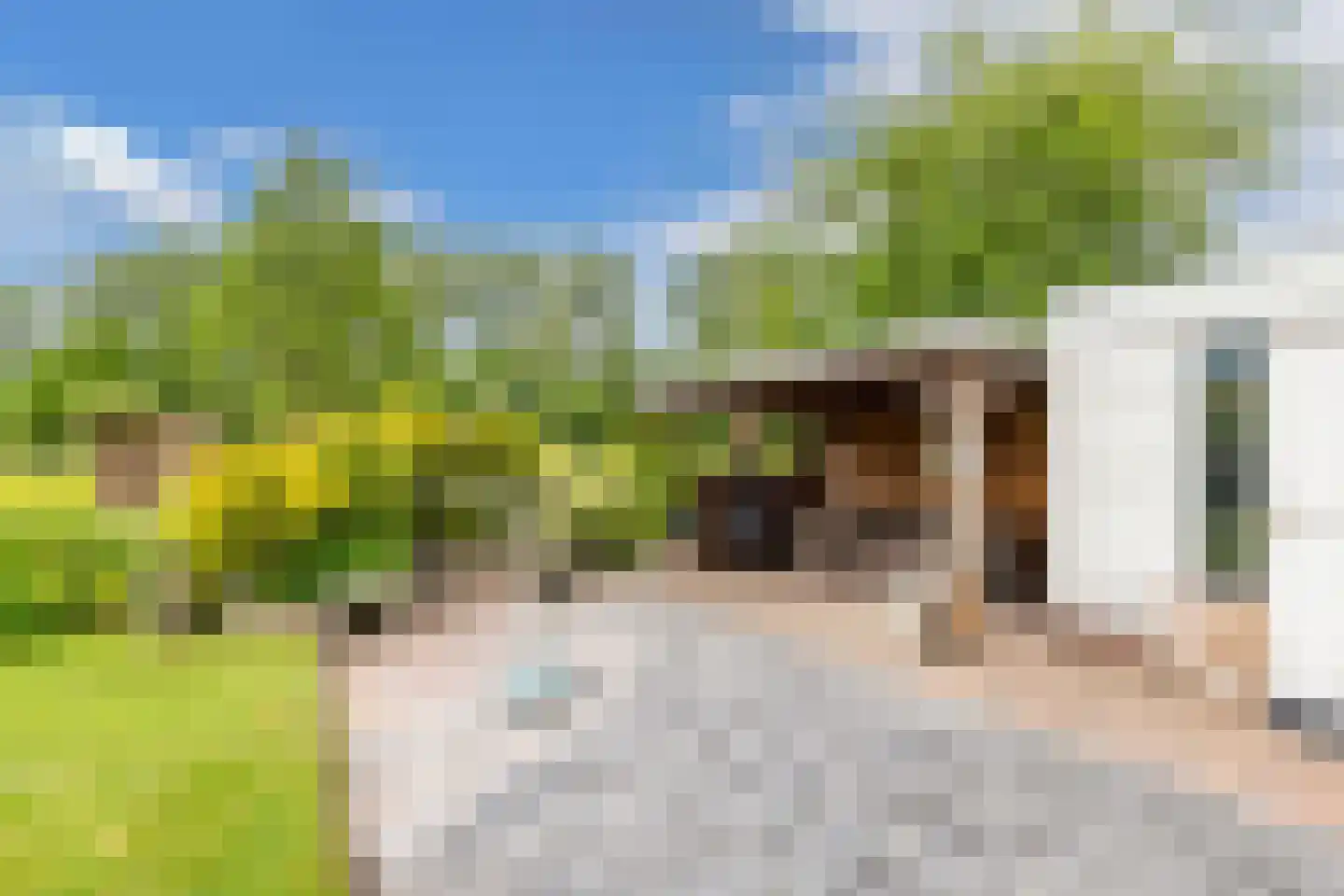 De Slachten 8 Bolsward thumbnail 41