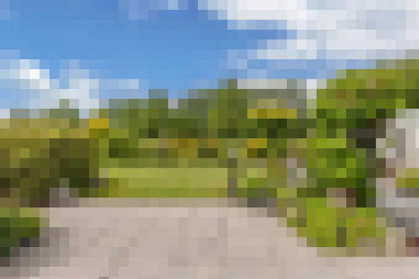 De Slachten 8 Bolsward thumbnail 44