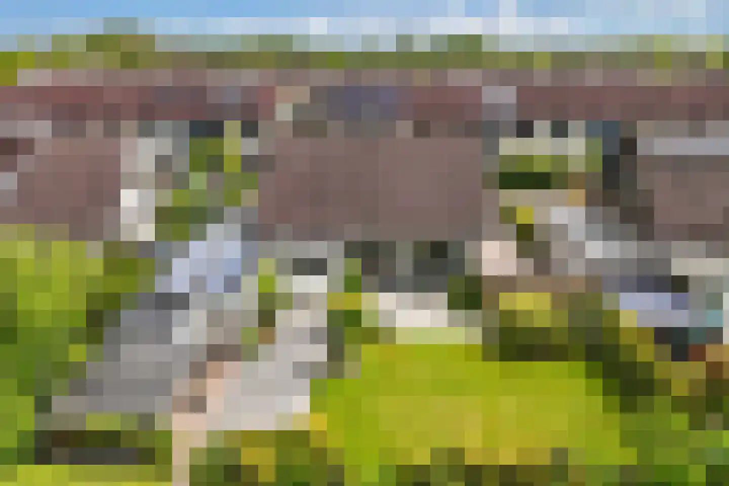 De Slachten 8 Bolsward thumbnail 47