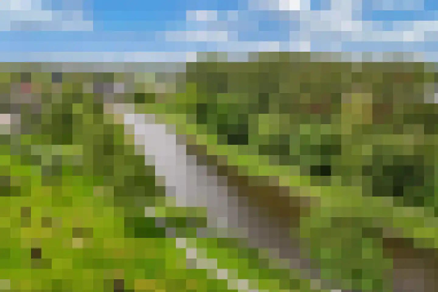 De Slachten 8 Bolsward thumbnail 48