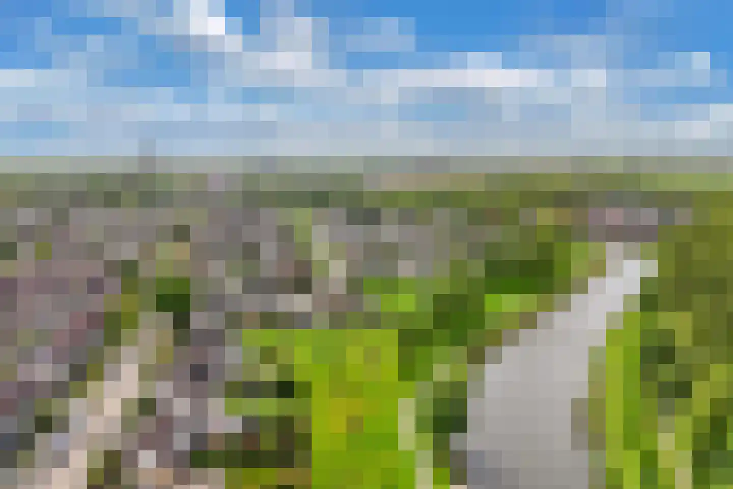 De Slachten 8 Bolsward thumbnail 49