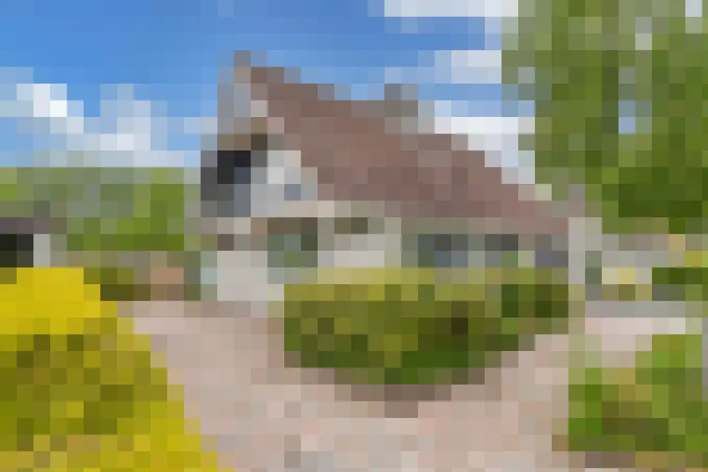 De Slachten 8 Bolsward thumbnail 5