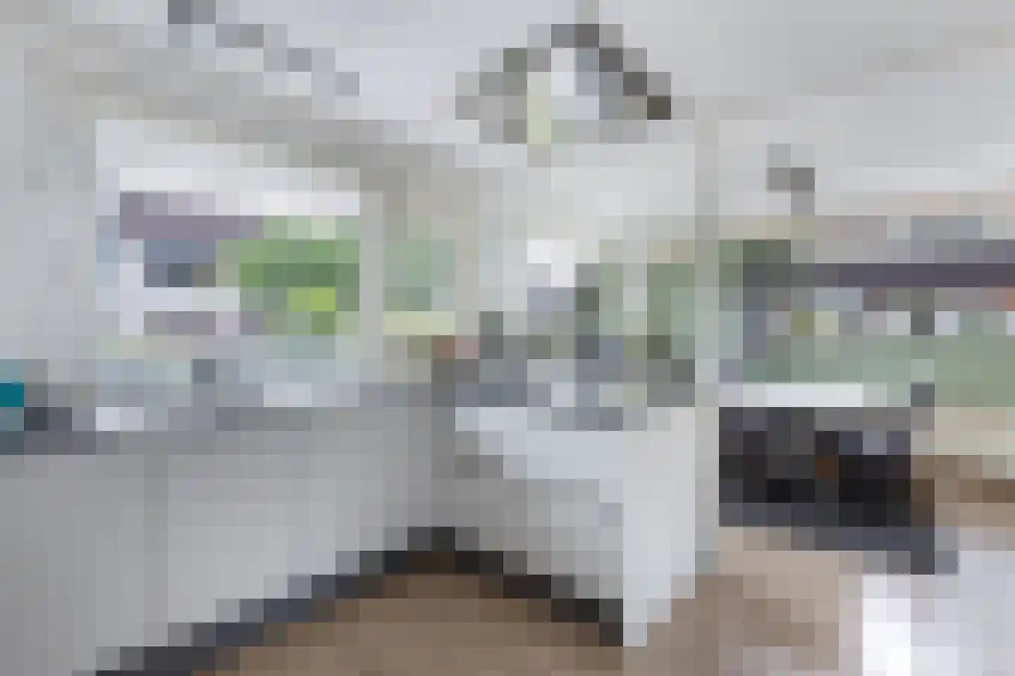 De Slachten 8 Bolsward thumbnail 8