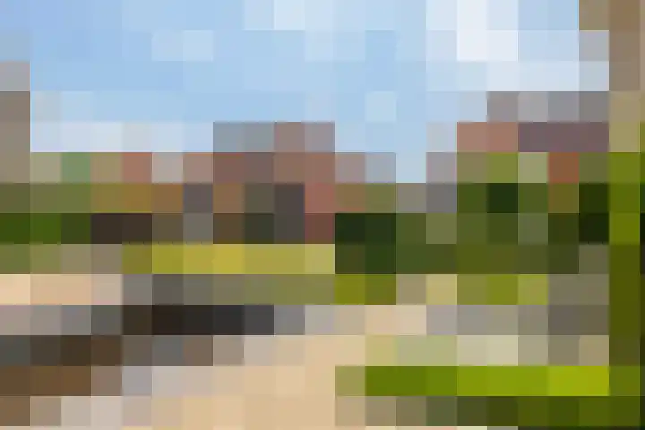 De Slachterij 18 Akkrum thumbnail 27