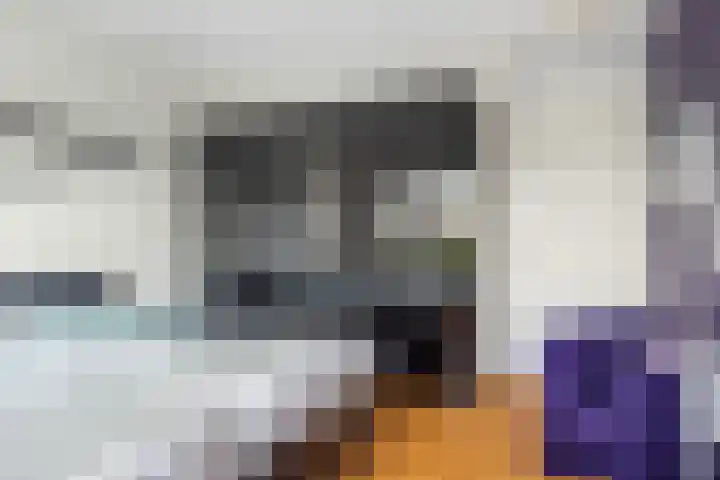 De Slachterij 18 Akkrum thumbnail 37