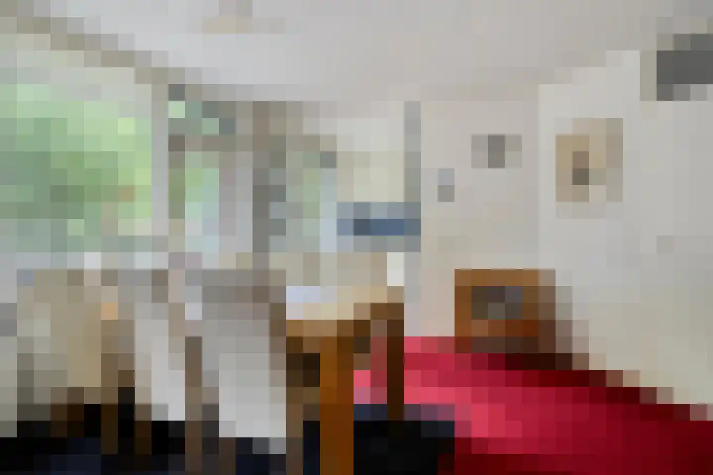 de Slaiten 4 Zuidlaren thumbnail 12