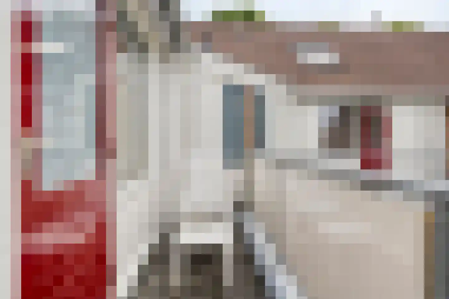 de Slaiten 4 Zuidlaren thumbnail 17