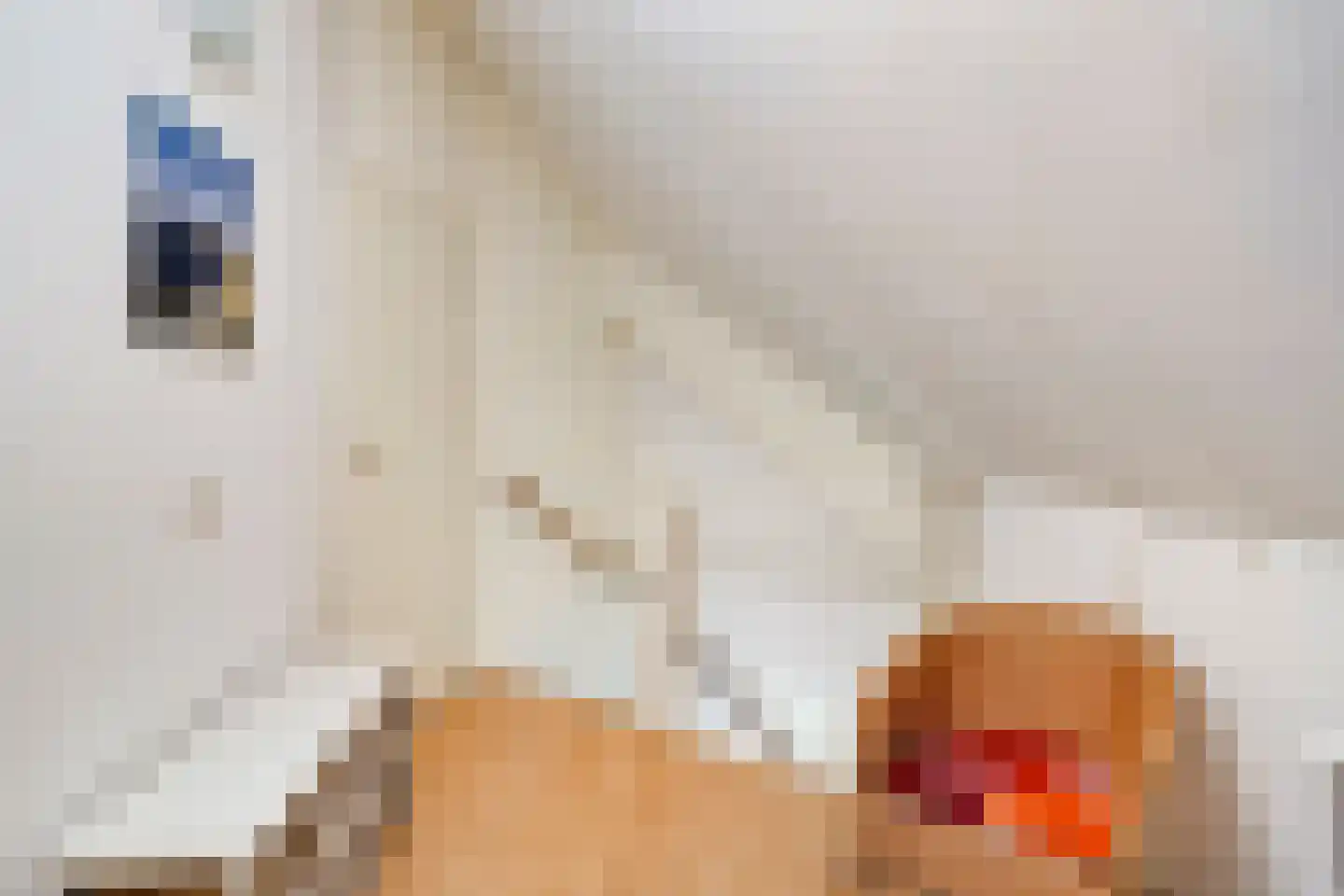 de Slaiten 4 Zuidlaren thumbnail 23