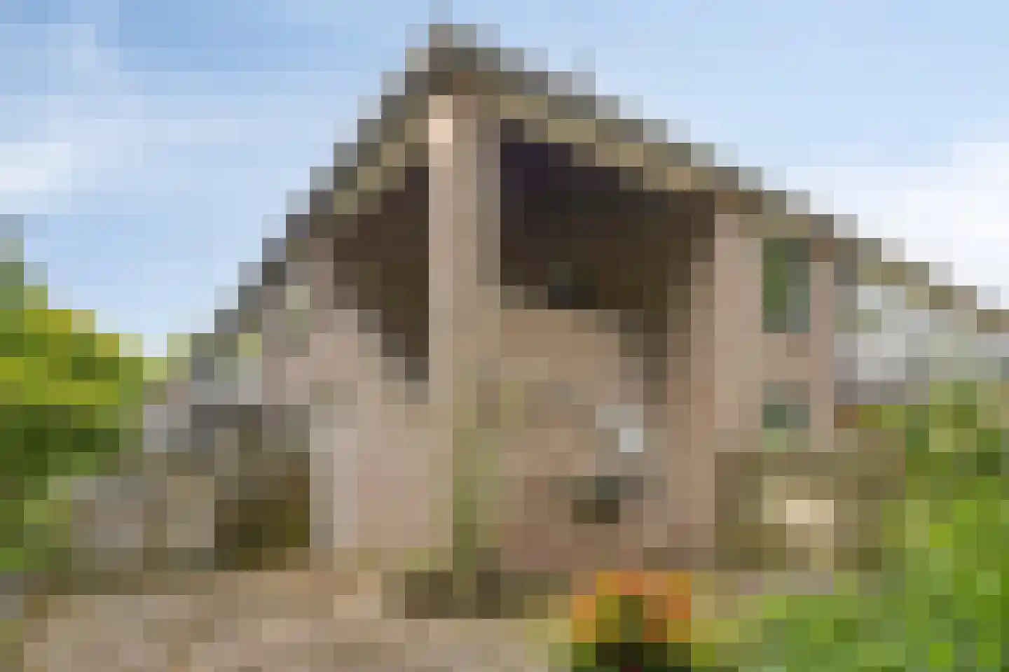 de Slaiten 4 Zuidlaren thumbnail 31