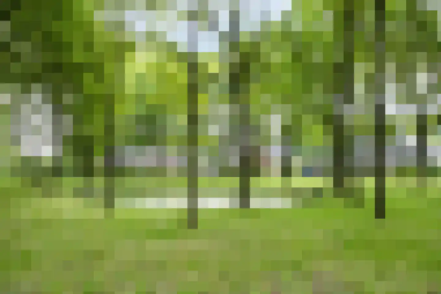 de Slaiten 4 Zuidlaren thumbnail 37