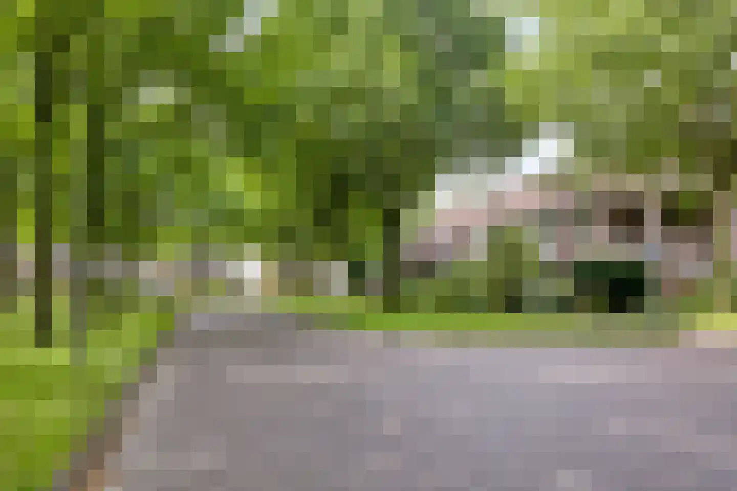 de Slaiten 4 Zuidlaren thumbnail 39