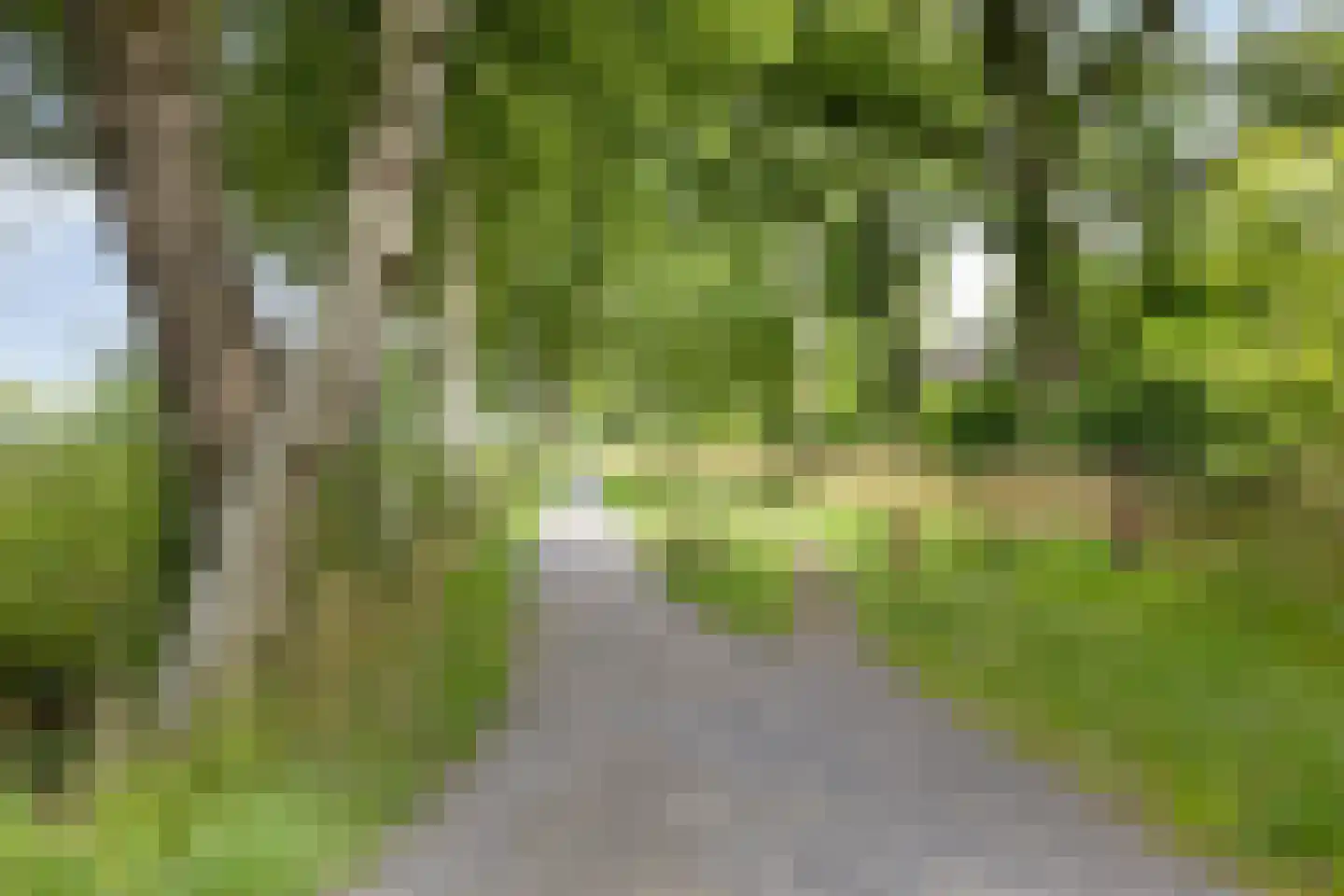 de Slaiten 4 Zuidlaren thumbnail 40