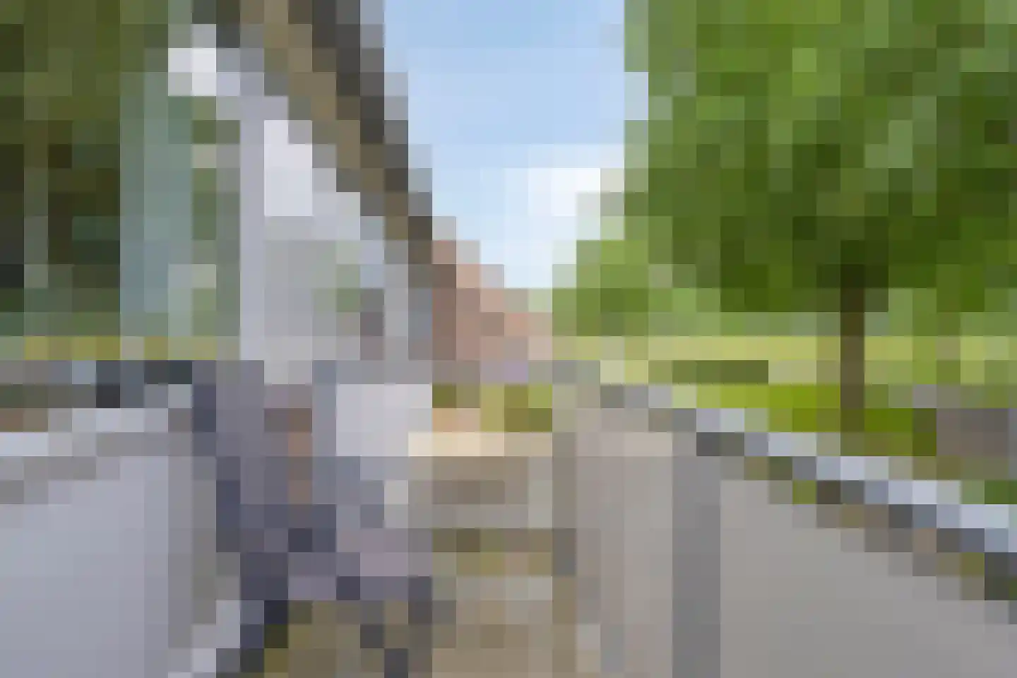 de Slaiten 4 Zuidlaren thumbnail 9