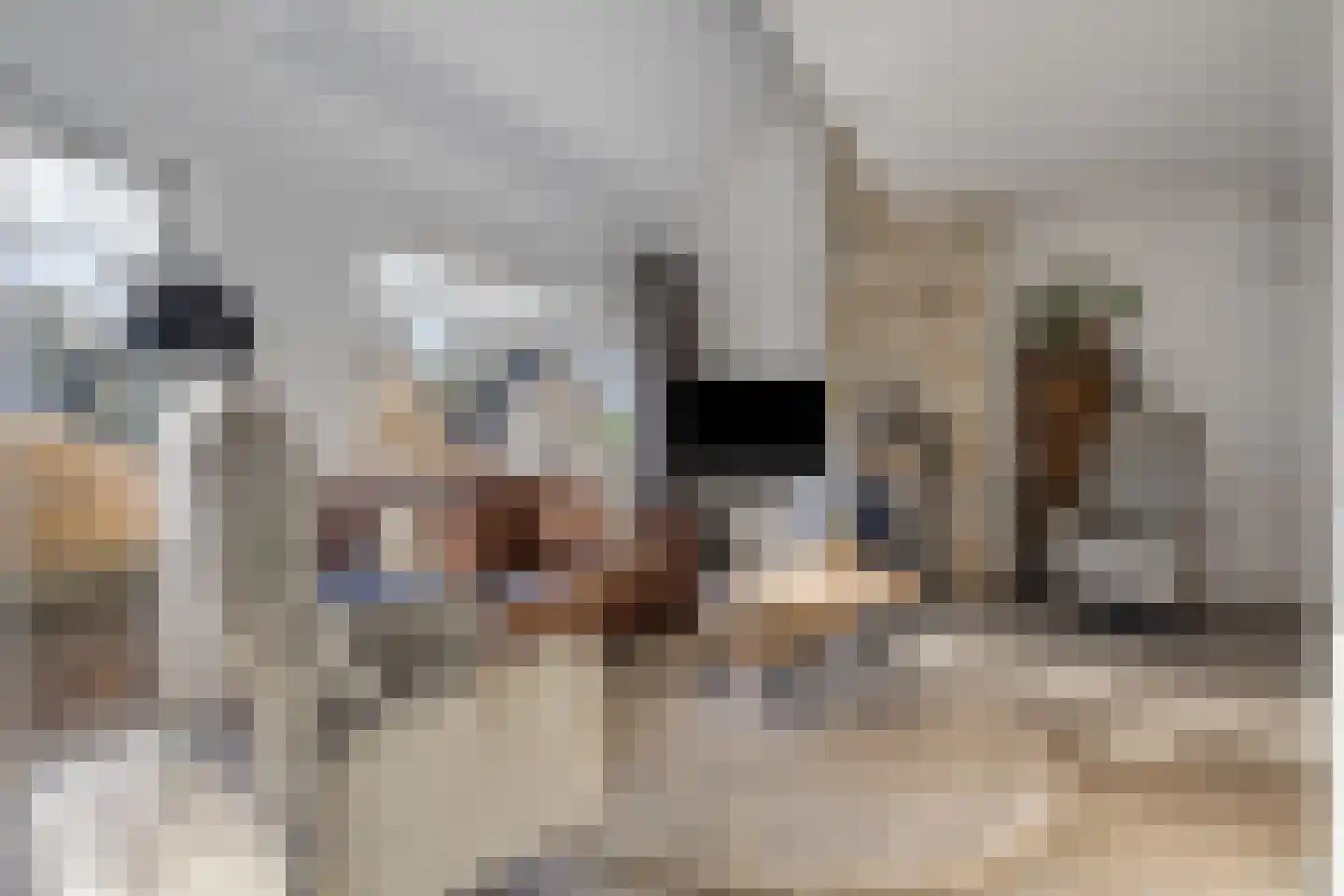De Slatten 26 Oosterwolde thumbnail 21