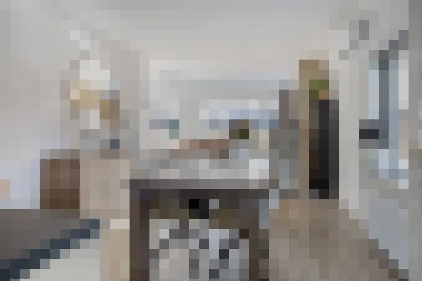 De Slatten 26 Oosterwolde thumbnail 27