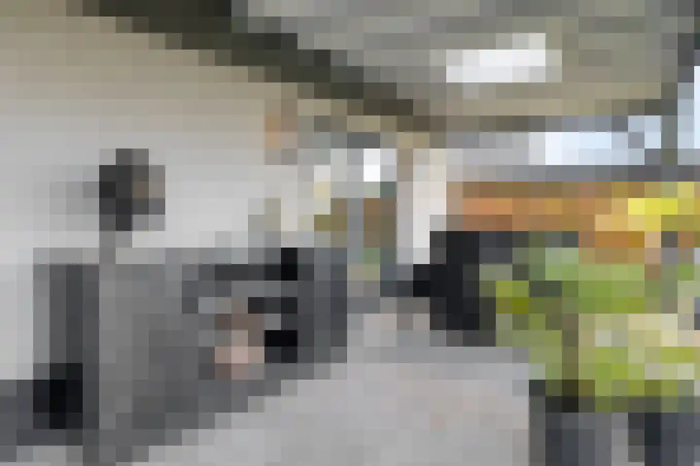 De Slatten 26 Oosterwolde thumbnail 55