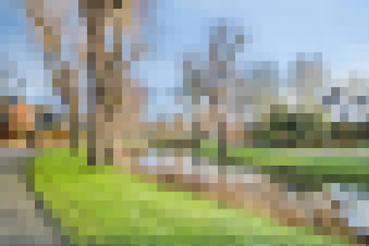 De Slatten 26 Oosterwolde thumbnail 65