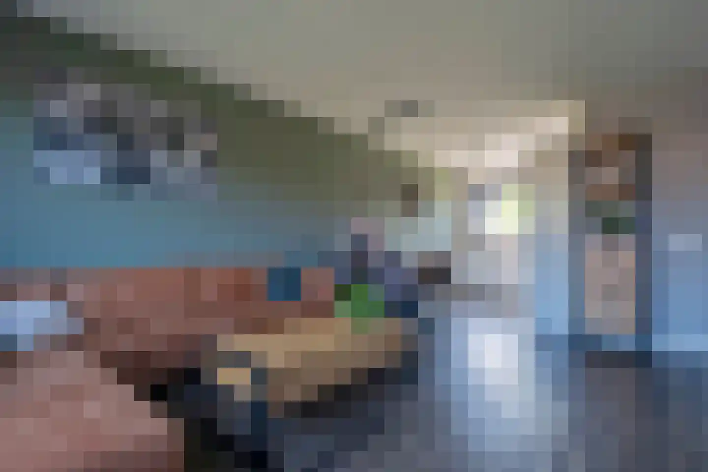 De Sleedoorn 12 Koekange thumbnail 12