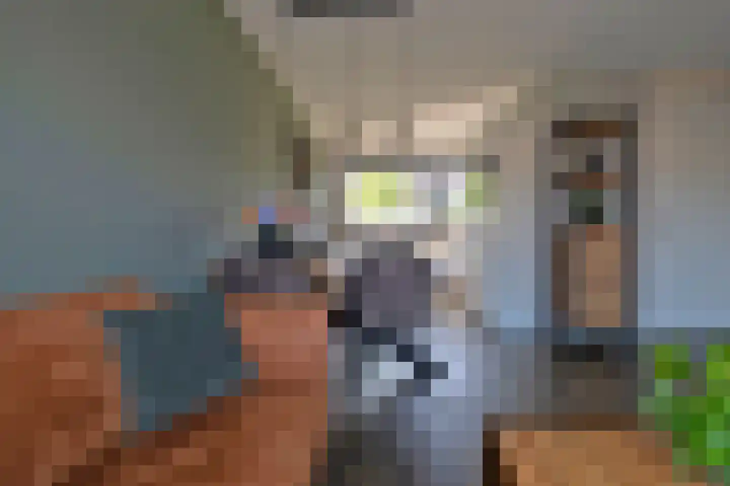 De Sleedoorn 12 Koekange thumbnail 13