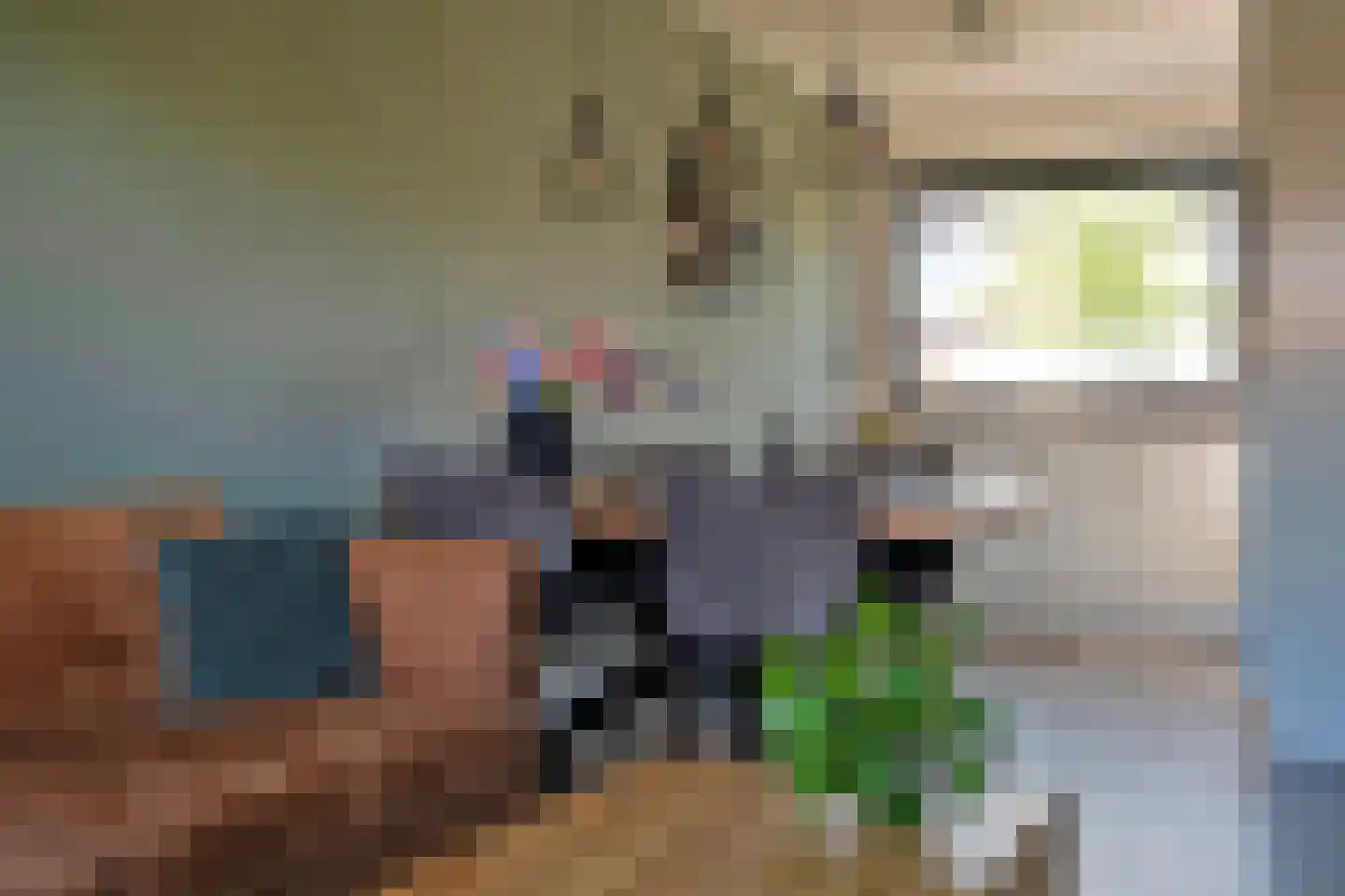 De Sleedoorn 12 Koekange thumbnail 15