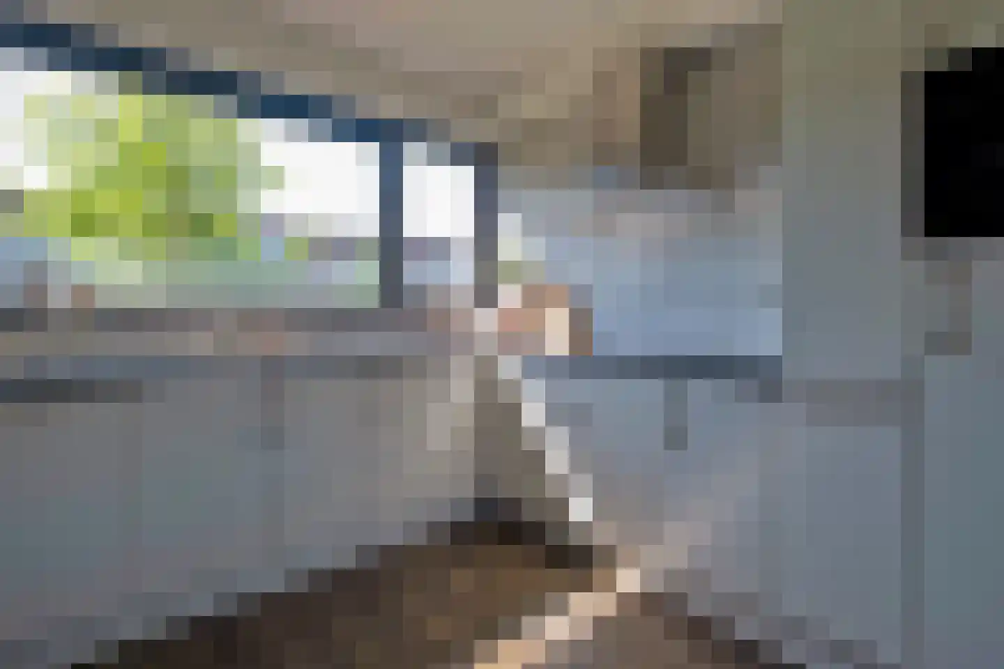 De Sleedoorn 12 Koekange thumbnail 18