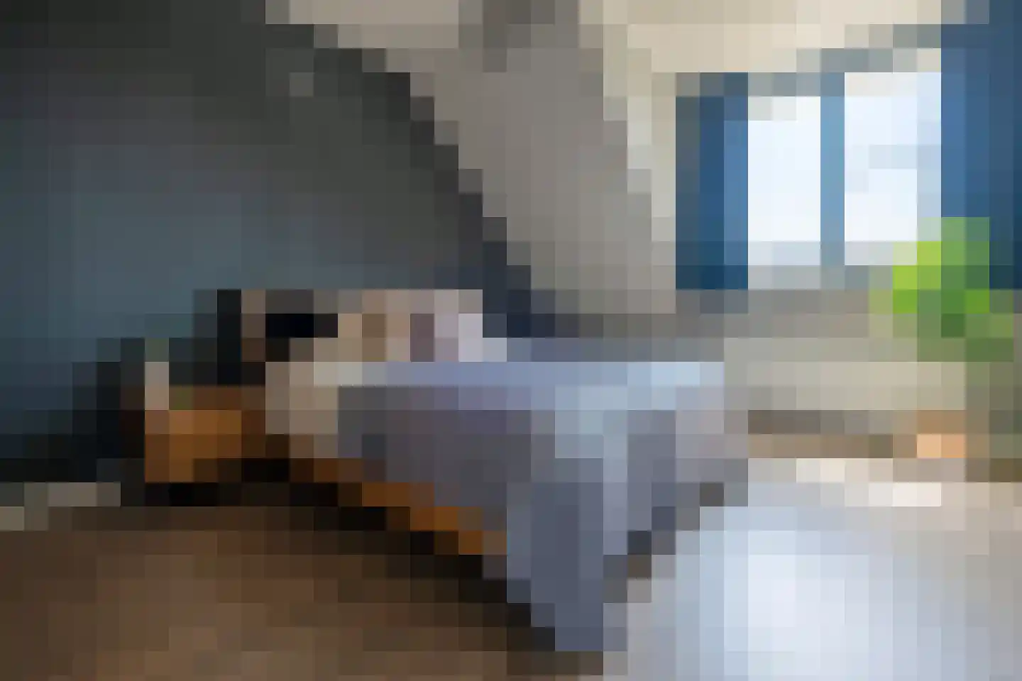 De Sleedoorn 12 Koekange thumbnail 4