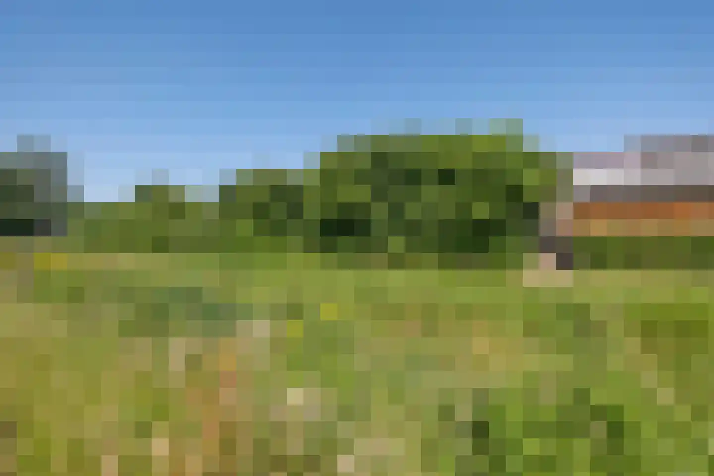 De Sleedoorn 12 Koekange thumbnail 43